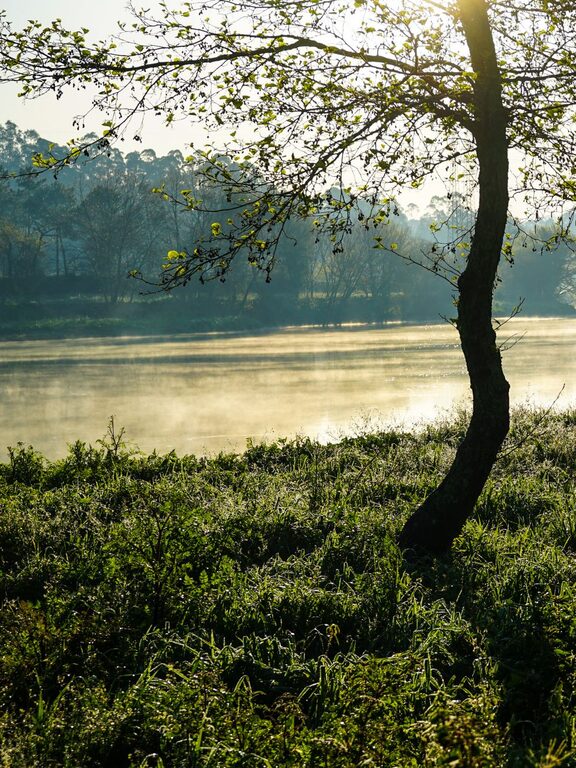 Refresh Your Spirit: Ideas for Peaceful Weekend Mornings